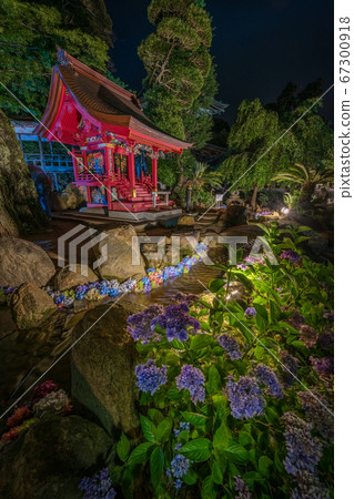 Ibaraki Prefecture, Amabiki Kannon underwater flower lighting Ibaraki Prefecture, Amabiki Kannon underwater flower lighting 67300918