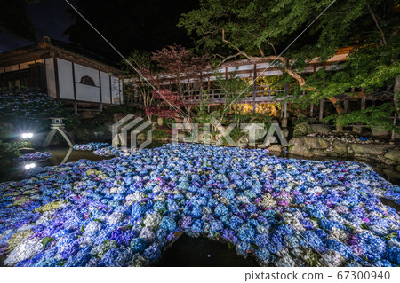 茨城縣Amabiki Kannon水下花卉照明 茨城縣Amabiki Kannon水下花卉照明 67300940