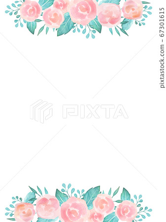 Pink rose background material watercolor style 67301615