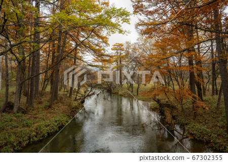 Odashirogahara日航Oku日航秋季 67302355