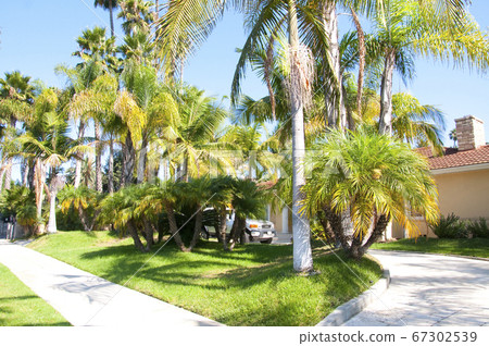 Beverly Hills Beverly Hills 67302539