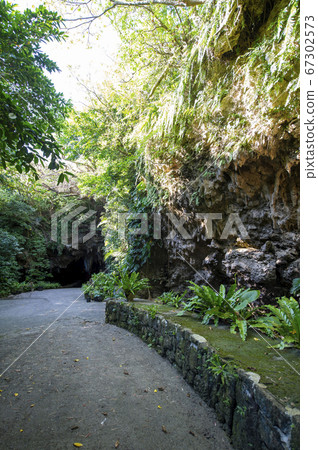 沖繩縣石垣島Sabichi石灰石洞穴 67302573