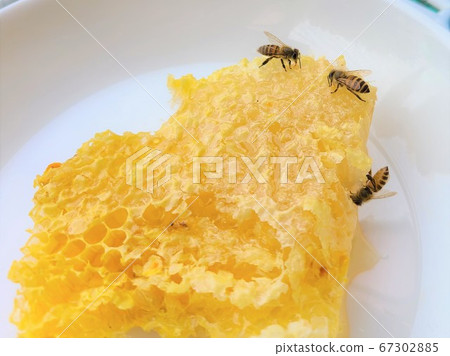 蜂蜜和蜂蜜蜜蜂蜂蜜和蜂蜜蜜蜂巢材料背景 蜂蜜和蜂蜜蜜蜂蜂蜜和蜂蜜蜜蜂巢材料背景 67302885