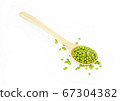 mung beans isolated on white background 67304382