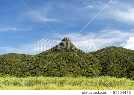 沖繩縣石垣島信子岳 67304478