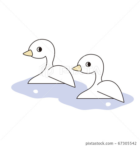 Illustration of two ducks swimming side by side on the water 67305542