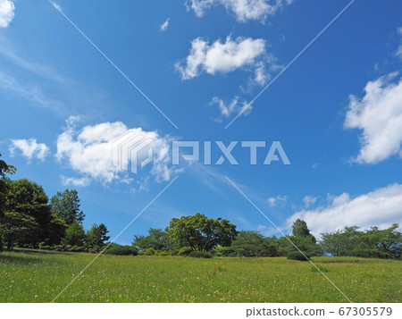 北海道小樽市Temiya綠色植物園的丘陵和藍天景觀 67305579