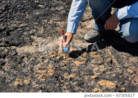 hand of paleontologist discovered some fossils and hand of paleontologist discovered some fossils and 67305817