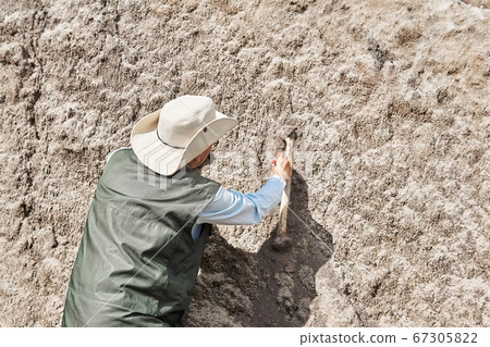 paleontologist extracts fossil bone from a rock by paleontologist extracts fossil bone from a rock by 67305822