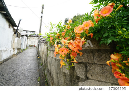 胡同城陵洞城北區 67306295
