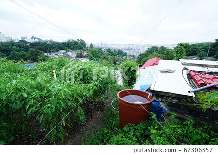 胡同城陵洞城北區 67306357