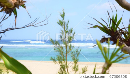 While watching the ocean While watching the ocean 67306808