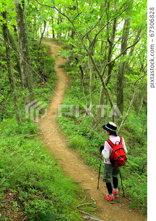 中年輕登山 67306828