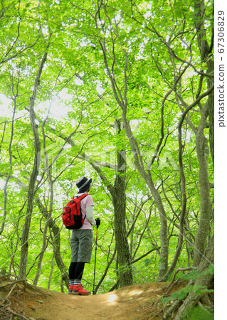 中年輕登山 中年輕登山 67306829
