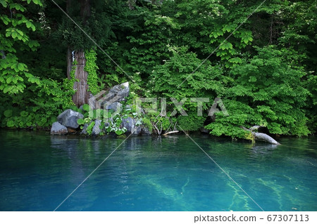 十和田湖神社財富 67307113