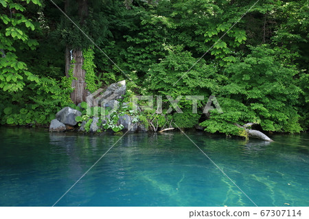 佔用 佔用 67307114