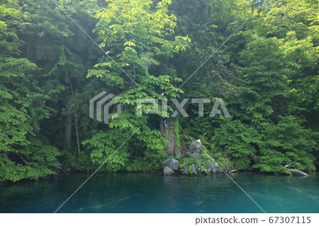 十和田湖財富 67307115