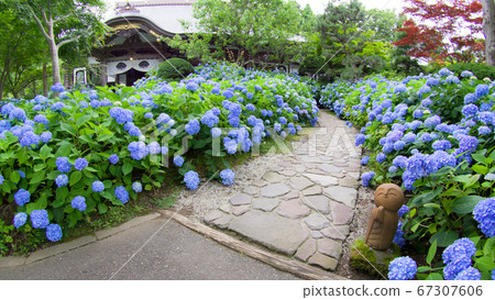 秋田縣雲舒寺,繡球寺地藏 秋田縣雲舒寺,繡球寺地藏 67307606