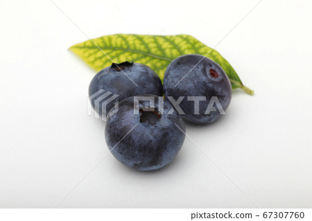 Blueberries on a white background Blueberries on a white background 67307760
