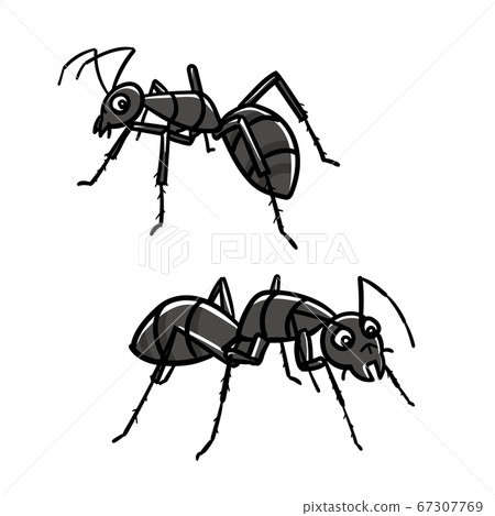 昆蟲_螞蟻 67307769