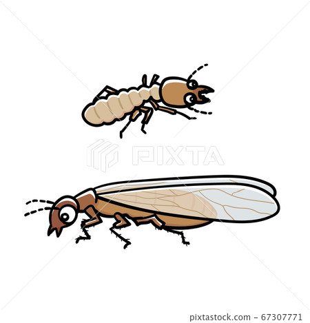 Insects_termites Insects_termites 67307771