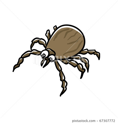Insects_tick Insects_tick 67307772