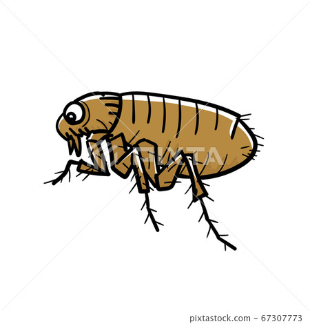 Bug_flea Bug_flea 67307773