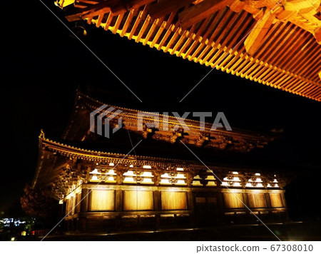 Toji Light Up 67308010