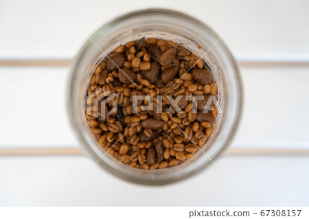 Hishio是用梅森罐子製成的傳統日本發酵食品。發酵的第一天。頭頂射擊。 67308157