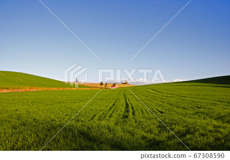 與紅色屋頂的小山 67308590