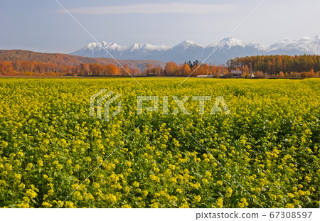 Tokachi mountain range in late autumn 67308597