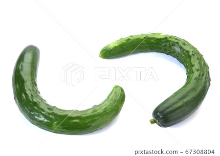 彎曲的黃瓜 彎曲的黃瓜 67308804