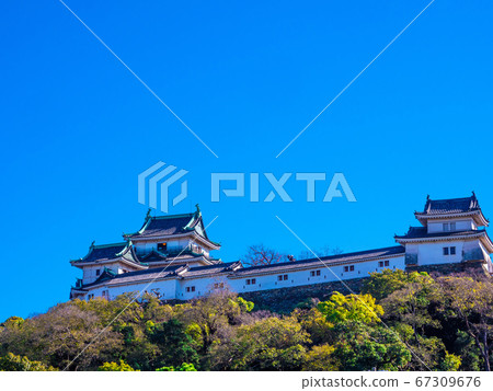 Wakayama Castle 67309676