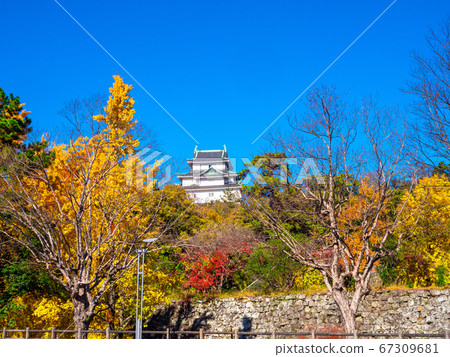 和歌山城 和歌山城 67309681