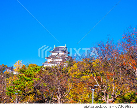 和歌山城 67309683