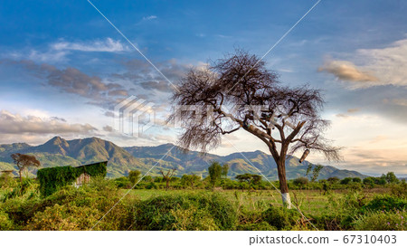 ethiopian landscape near Arba Minch, Ethiopia 67310403