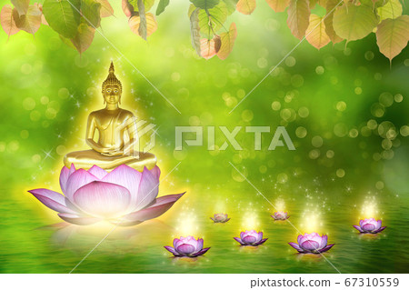 Buddha statue water lotus Buddha standing on lotus 67310559