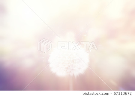 Blurred background dandelion 01 Blurred background dandelion 01 67313672