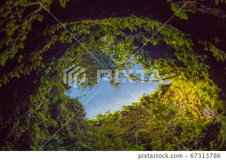 Cave in an extinct volcano on the island of Terceira Gruta do Algar do Carvao. Azores, Portugal 67313786