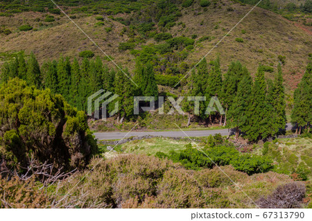 Hills over fields. Terceira island in Azores with blue sky and clouds. 67313790