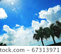 永恆的夏日海灘度假 67313971