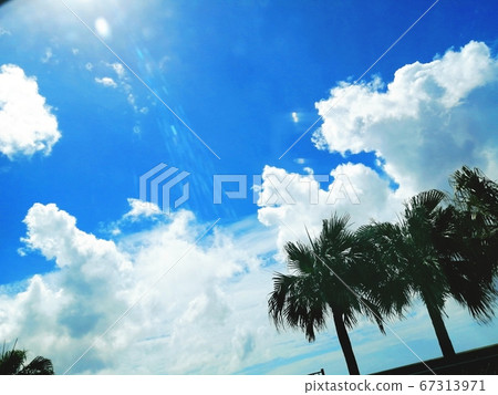 永恆的夏日海灘度假 永恆的夏日海灘度假 67313971