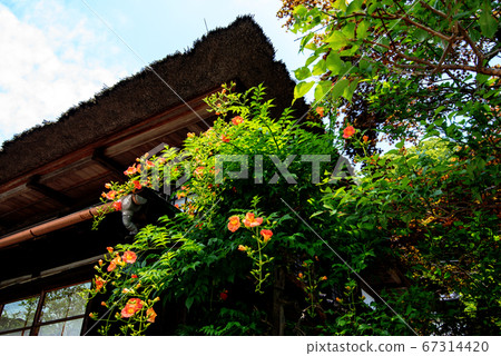 Temple shrine Temple shrine 67314420