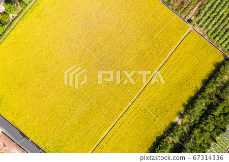 aerial view of farm aerial view of farm 67314536