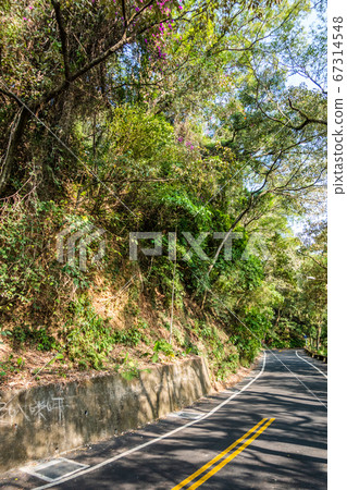 curval road under the tree curval road under the tree 67314548
