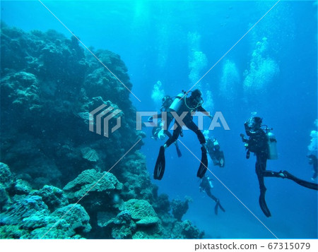 Diving travel people 67315079