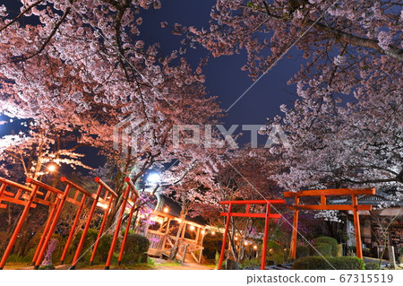 Maru Takinari Shrine 67315519