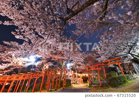 Maru Takinari Shrine 67315520
