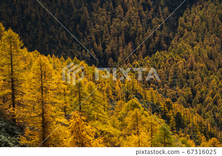 Beautiful Autumn landscape view of Baimang mountain in China 67316025
