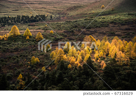 Beautiful Autumn landscape view of Baimang mountain in China 67316029
